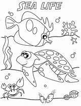 Coloring Ocean Pages Sea Under Printable Kids Life Sheet Print sketch template