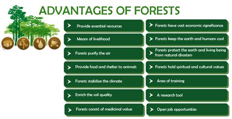 advantages  disadvantages  forests javatpoint