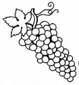 Coloring Pages Grapes sketch template