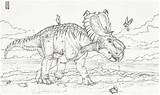 Pachyrhinosaurus sketch template