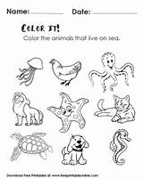 Worksheet Color Coloring Animals Sea Live Printable Correctly Only Sheets Learning Enjoy Colors Kids Now Through Freeprintableonline sketch template
