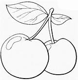 Kirsche Malvorlage Cherries Cerejas Juci Mello Zibetti sketch template