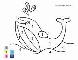 Zahlen Wal Ausmalen Vorschule Ausmalbild Mit Fur Kinderbilder Buckelwal Schnecke Zeichnen Wale Kostenlose Schablonen Schule Großformat sketch template