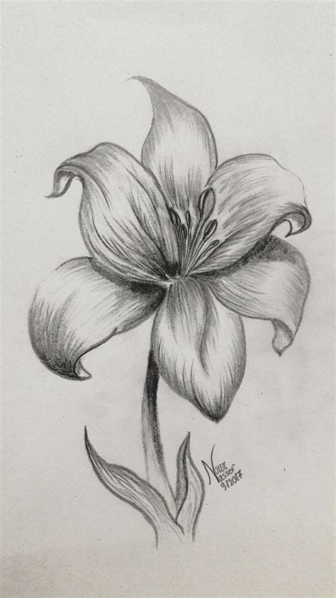 realistic flowers drawing
