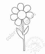 Stem Daisy Flower Template Leaves Coloring Flowers sketch template
