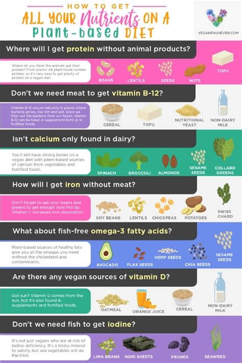 vegan nutrition 101 getting all your nutrients on a vegan diet guide