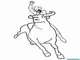 Banteng Stier Mewarnai Cowboy Ausmalbilder Taureau Animasi Koboi Hewan Vache Mewarnaigambar Ligne Sumber Warnai Coloriages Malvorlagen Colorier sketch template