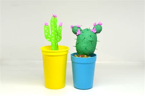 paper cactus  pictures wikihow