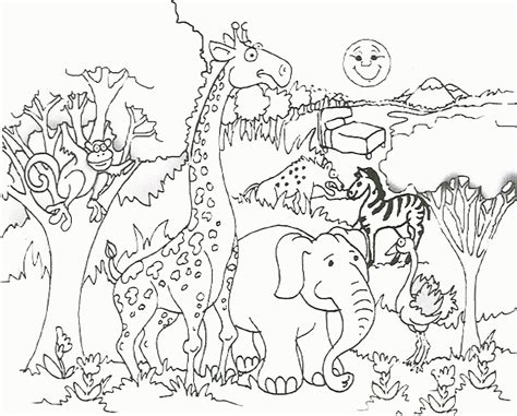 animal coloring page  page   ages coloring home