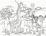 Animals Coloring Pages African Safari Colouring Library Clipart Printable sketch template
