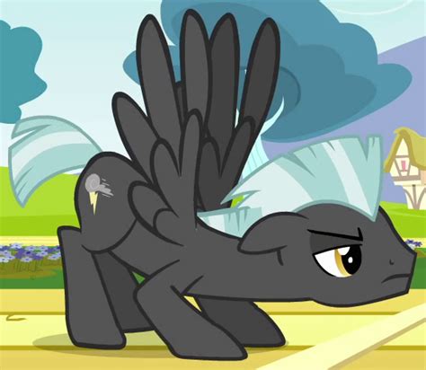 thunderlane   pony friendship  magic wiki