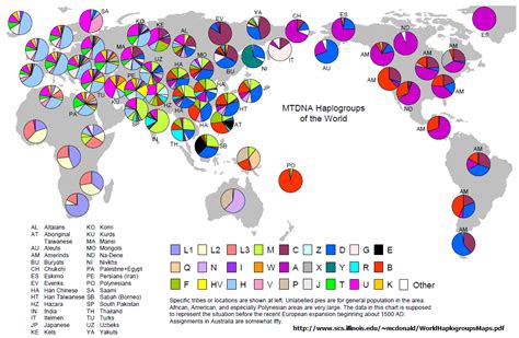 of kinds and common ancestors comparing mitochondrial genomes of mammals naturalis historia