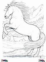 Coloring Pages Horse Horses Clydesdale Indian Girls Games Getcolorings Getdrawings Print Colorings Printable sketch template