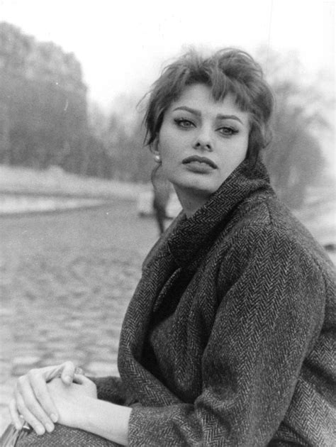 Timeless Beauty Sophia Loren Sofia Loren Sophia Loren Images