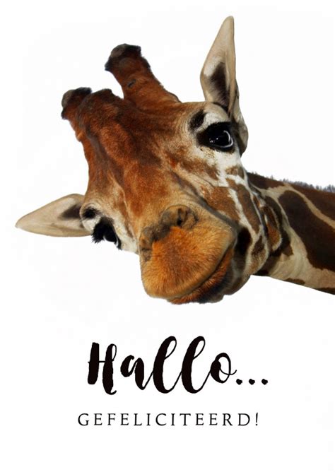 verjaardagskaart grappige giraf kaartjego