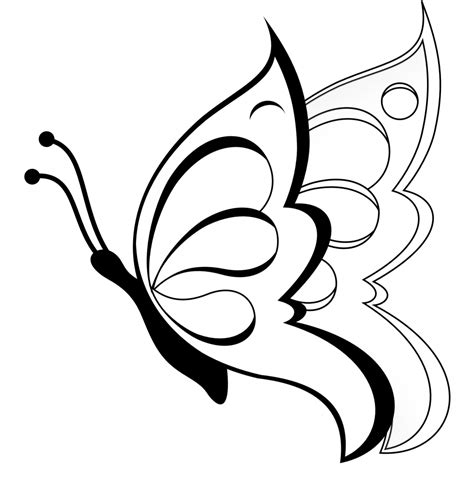 simple butterfly sketch  paintingvalleycom explore collection