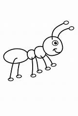 Ant Ameisen Ameise Zeichnungen Malvorlage Nael Invitationurn sketch template