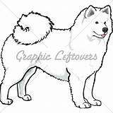 Samoyed Clipart Drawing 500px 52kb Dog Clipground sketch template