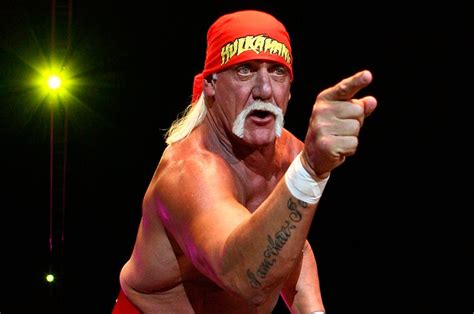 Hulk Hogan Awarded £80 Million In Sex Tape Lawsuit Against Gawker Nme
