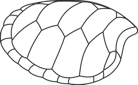 turtle shell drawing clipart