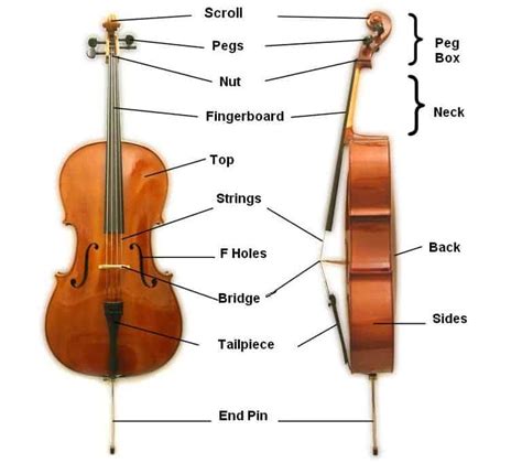 violin  cello