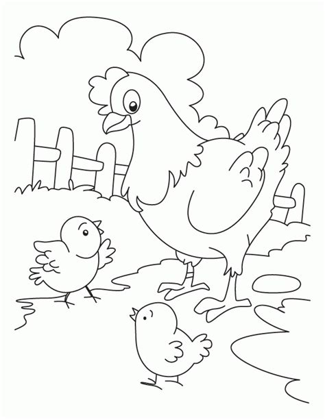 baby chicken coloring pages coloring home