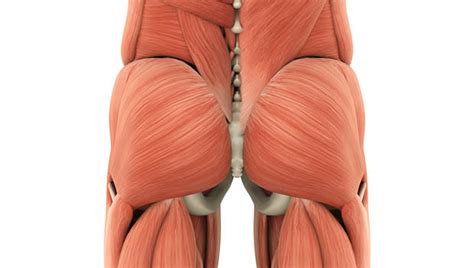How To Treat And Prevent Piriformis Syndrome For Runners Active