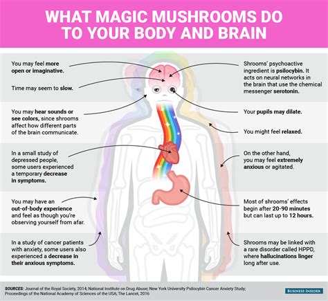 mental and physical effects of magic mushrooms business insider
