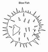 Blowfish sketch template