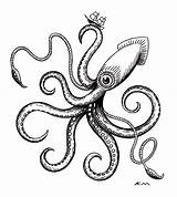 Squid Giant Drawing Ink Octopus Getdrawings Drawings Ken Molnar Friends Paper sketch template