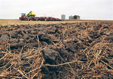 bury crop residue    lie  easy answer  western producer