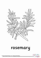 Colouring Rosemary Anzac sketch template