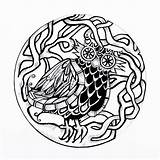 Celtic Owl sketch template
