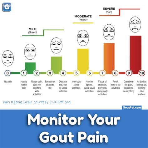 Monitor Your Gout Pain Chart Goutpal Gout Help