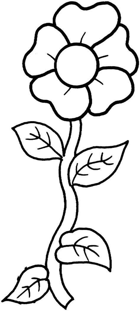 template  single flower printable flower coloring pages flower