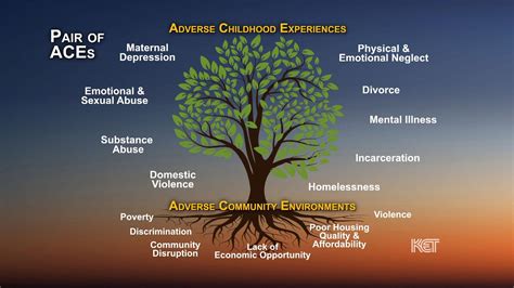 trauma tree understanding  impact  childhood trauma chegospl