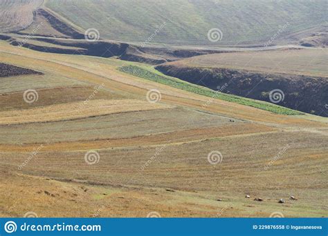 close  autumn lanndscape colorful fields   hillls stock photo