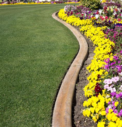 curved timber garden edging ideas nigthwishes
