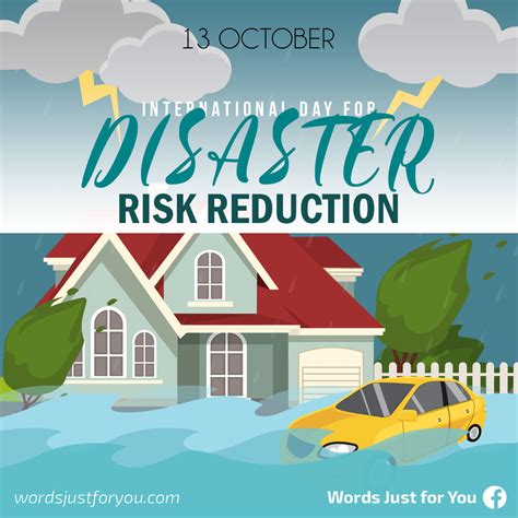 international day  disaster risk reduction  october