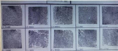 answer unit  db henry  ncic fingerprint classifications