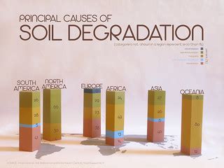 principal   soil degradation poster    byeolyi jin