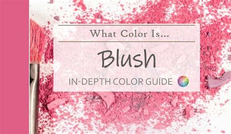 color  blush defining    worlds  popular colors knockoffdecorcom