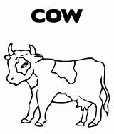 Coloring Cow Pages Printable Head Color Sheets Getcolorings Survival Popular Cows Library Clipart Print sketch template