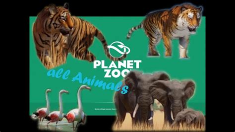 planet zoo  animals zoopedia youtube