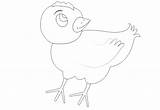 Coloring Vector Chicken Openclipart sketch template