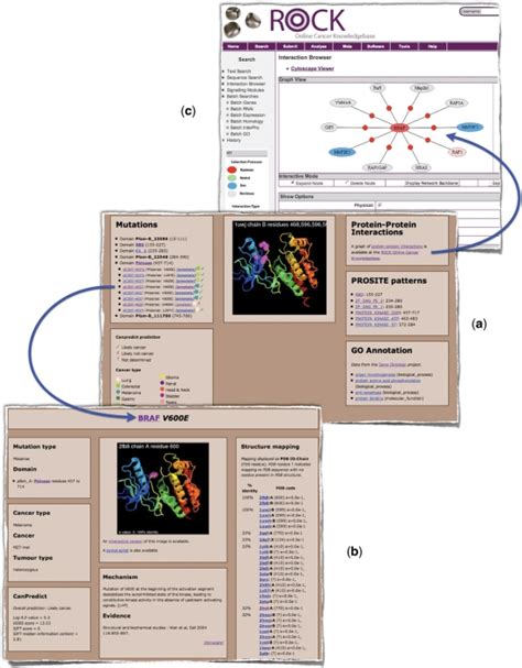 mutations mechanisms  pathways  gene level pages illustrated