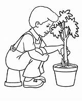 Planting Watering Arbor Sketsa Kelestarian Menjaga Lingkungan Coloringfolder sketch template