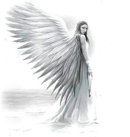 angel drawing  piece draw pinterest angel drawing angel  drawing
