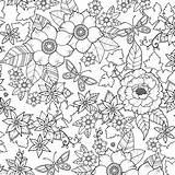 Johanna Basford Coloring Pages Choose Board Book sketch template