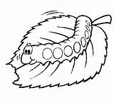 Caterpillar Eating Coloring Colored Lupita Coloringcrew Pages Worm Leaf Para Kids September Painted sketch template
